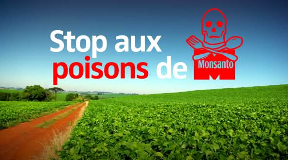 Vue sur un champ de soja transgénique barré par le texte « Stop aux poisons de MONSANTO »