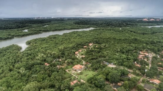 Vue aérienne de maisons entourées d’arbres qui jouxtent une rivière bordée d’une forêt de mangroves
