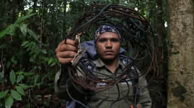 Rangers neutralisant des pièges à nœud coulant au Parc national de Leuser