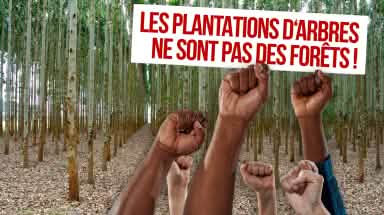 Phomontage pour la Journée contre les monocultures