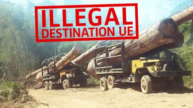 Des camions introduisent en fraude au Vietnam du bois coupé illégalement au Cambodge.