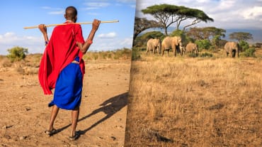 Photomontage : à gauche un Massaï qui regarde à droite au loin un groupe d’éléphants