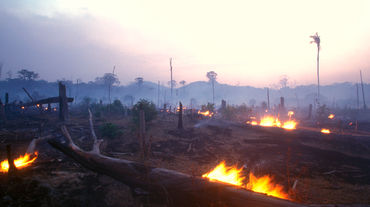 Défrichement par brûlis au Brésil