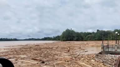 Spectacle de désolation : des grumes flottent sur une rivière à l’eau marron