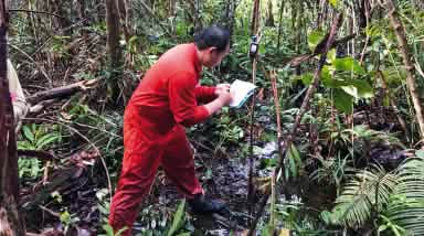 Matek fait des relevés dans la forêt à l'aide de son GPS pour cartographier le territoire des Iban