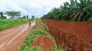 Tranchée autour de la plantation de palmiers à huile de l’entreprise Okomu Oil Palm Company (OOPC) au Nigeria