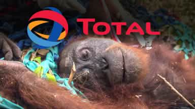 Orang-outan agonisant avec le logo deTotal
