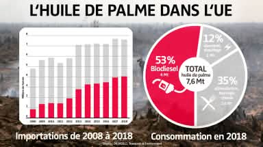 L'huile de palme dans l'UE - Importations de 2008 à 2018 / Consommation en 2018