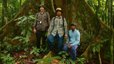 Robert et deux autochtones devant un arbre géant
