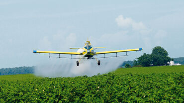 Un avion pulvérise des pesticides sur un champ de soja