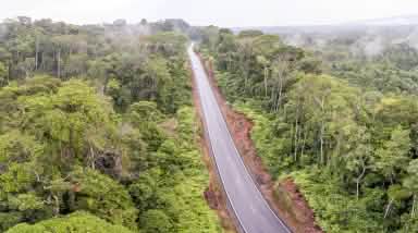 Route en pleine forêt tropicale