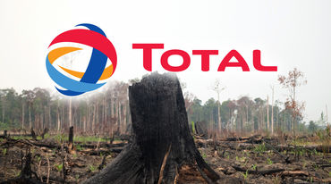 Forêt tropicale dévastée pour la culture d'huile de palme à Sumatra