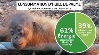 Photomontage - Diagramme de la consommation d'huile de palme dans l'Union européenne (UE) en 2017