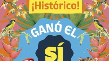 Affiche de l’initiative Yasuní sur laquelle est inscrite "Historique ! Le OUI a gagné"