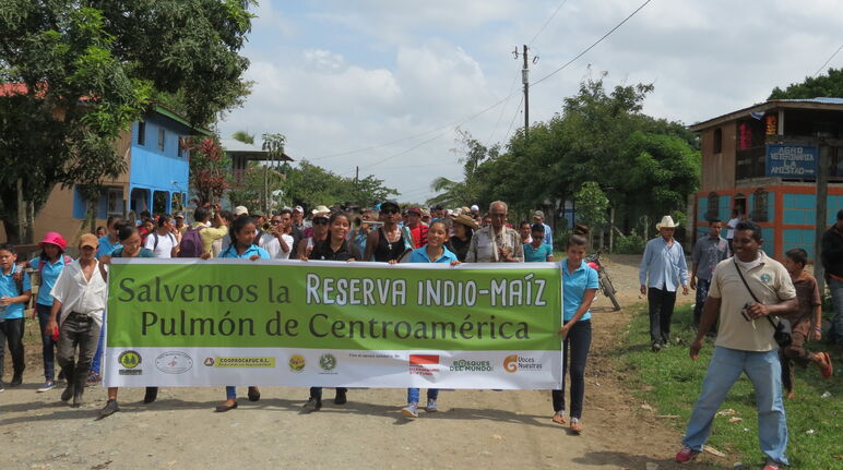 Manifestation pour la sauvegarde de la réserve biologique Indio-Maiz au Nicaragua