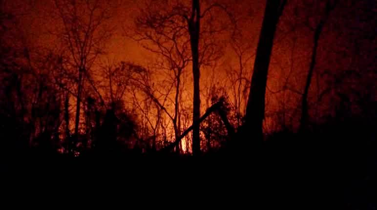 Incendies près du village d’Urubicha, dans l’est de la Bolivie Paysage apocalyptique avec des restes d’arbres calcinés au premier plan sur fond de ciel rouge et de flammes