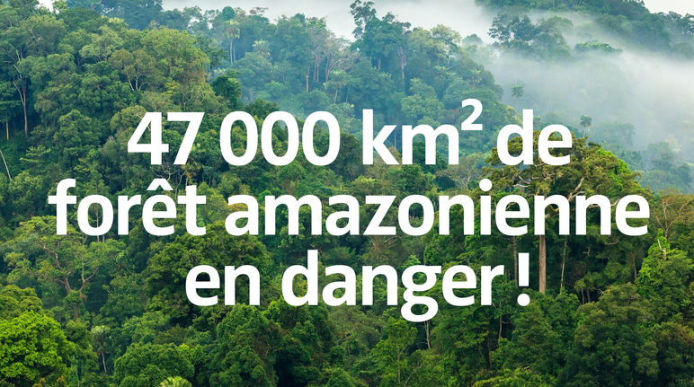 47.000 km² de forêt amazonienne en danger