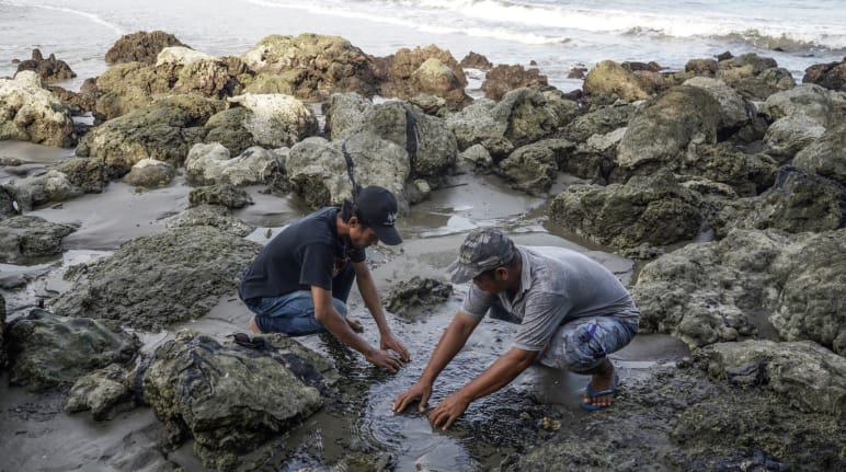 Deux hommes montrent des morceaux de bitume toxique sur une côte polluée