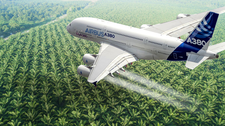 Photomontage : un avion Airbus en train de survoler une plantation de palmiers à huile