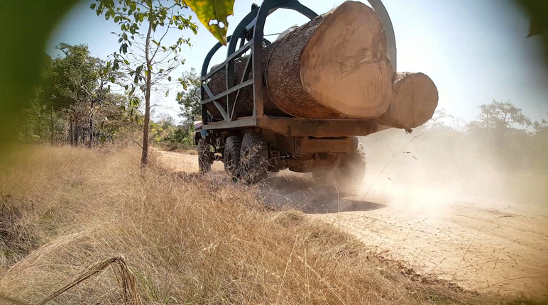 L’UE ne doit pas aider au pillage des parcs nationaux du Cambodge ! Camion de bûcheron au Cambodge