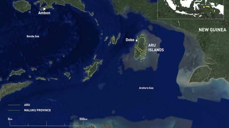 Localisation des îles Aru, entre la Nouvelle-Guinée
et l’Australie Carte satellite Nouvelle-Guinée - Îles Aru - Australie