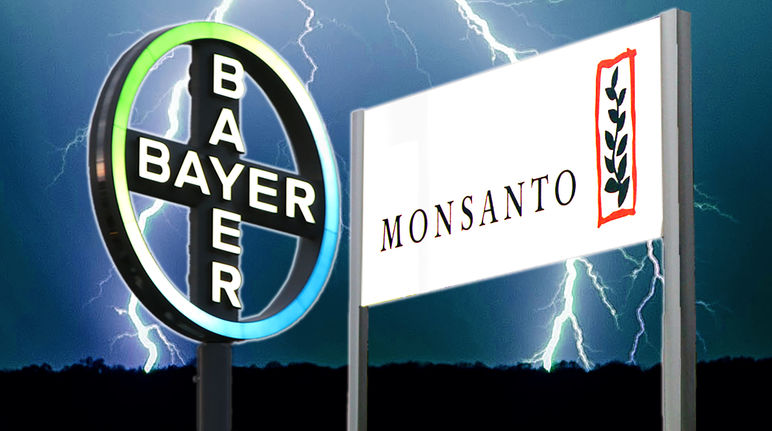 Bayer Monsanto Fusion