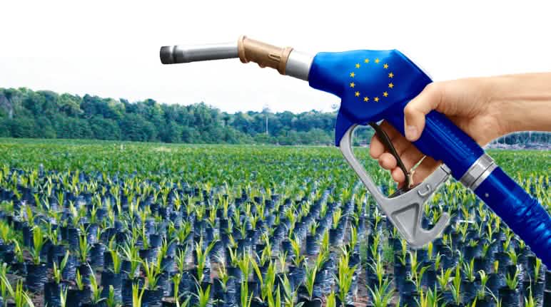 Le biocarburant utilisé dans nos voitures détruit la forêt tropicale Photomontage : culture d'huile de palme et pompe à essence aux couleurs de l'Union européenne