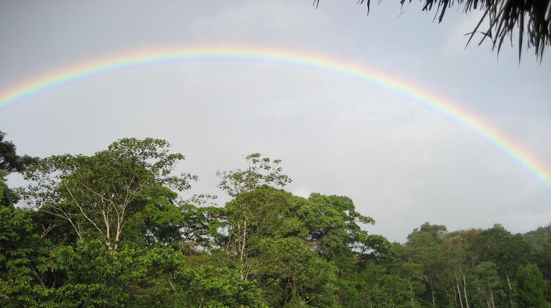 Arc-en-ciel au dessus de la Réserve biologique Indio Maíz au Nicaragua