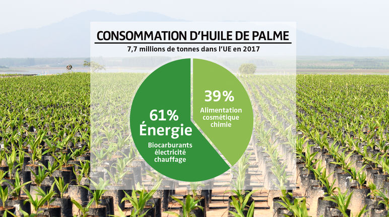 FOTOMONTAGE - Diagramme consommation d'huile de palme dans l'UE en 2017 et plantation en arrière plan