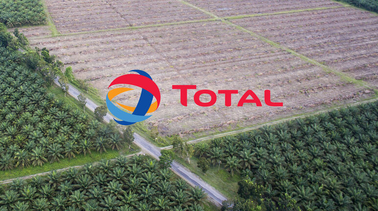 Logo de Total avec en arrière-plan des plantations de palmiers à huile en Indonésie