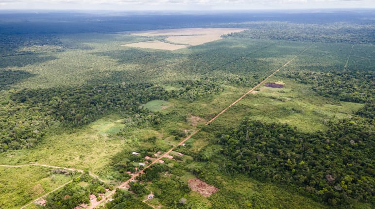 Vue aérienne d’une petite localité le long d’une piste rectiligne, avec derrière les plantations de palmiers à huile taillées dans la forêt tropicale