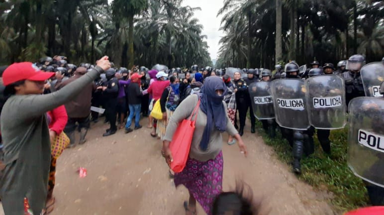 Un groupe de Mayas proteste (à gauche), tandis que des policiers, d’un groupe d’intervention, équipés de casques de protection et de boucliers avancent sous les palmiers (à droite)