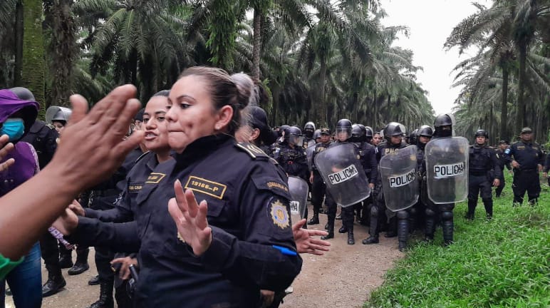 Un groupe d’intervention de policiers, portant casques de protection et boucliers, avance sur une piste dans une plantation de palmiers à huile