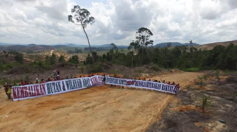 Manifestations contre les plantations de palmiers à huile à Bornéo Manifestations contre l’huile de palme dans la forêt tropicale de Bornéo