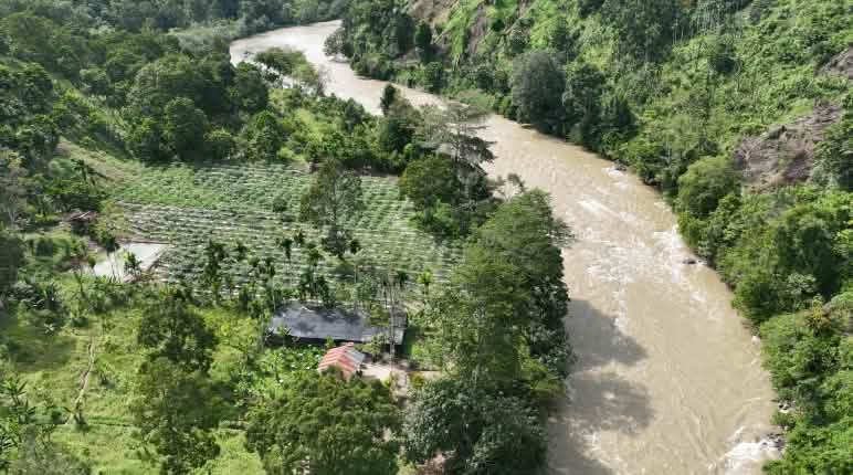 Notre pépinière sur les berges d’une rivière dans l’écosystème de Leuser Photo de drone d’une pépinière au bord d’une rivière dans la forêt