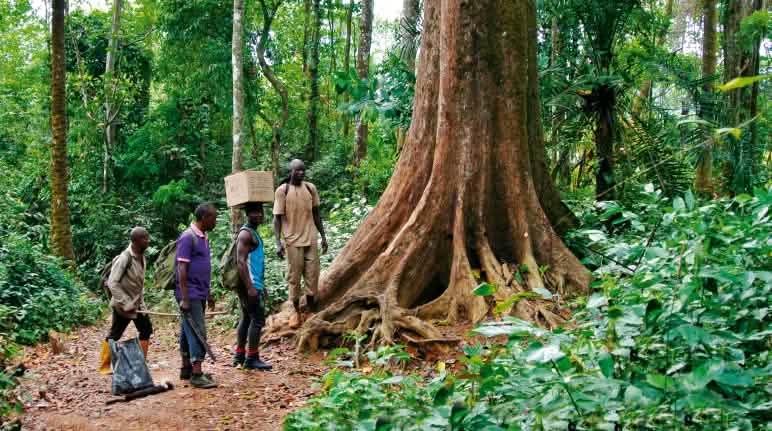 La communauté Ekuri préserve sa forêt coutumière depuis des générations Éco-gardes dans la forêt de Cross River au Nigeria