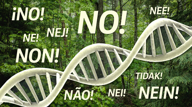 Non aux OGM dans les forêts ! Collage - ADN dans la forêt + Texte "NON" en plusieurs langues