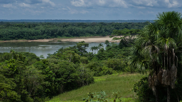 Igapo Project - Río Caquetá