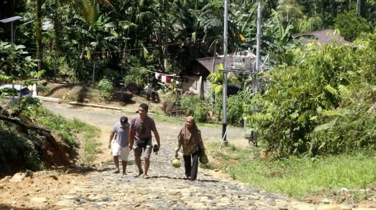 Autochtones et orangs-outans de Tapanuli vivent en bon voisinage dans la forêt de Batang Toru Trois personnes sur une route pavée dans un village en forêt
