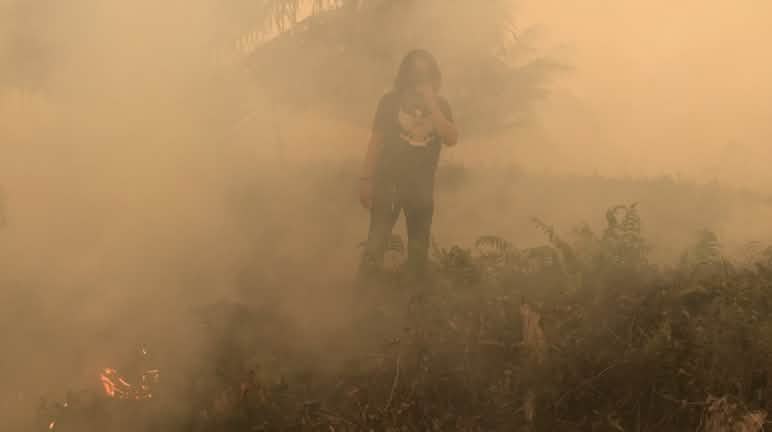 Notre partenaire au milieu de zones dévastées par le feu à Sumatra Feux déclenchés dans le village de Puding, district de Muaro Jambi, Sumatra, septembre 2019