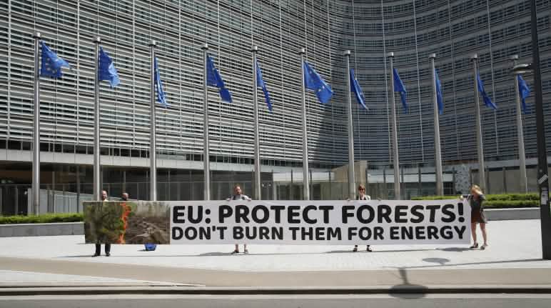 En parallèle de la remise de la pétition, les défenseurs de l’environnement ont déployé une banderole devant le siège de la Commission européenne à Bruxelles. Des défenseurs de l’environnement déploient une banderole devant le siège de la Commission européenne à Bruxelles : « UE : protégez les forêts ! Ne les brûlez pas pour la production d’énergie »