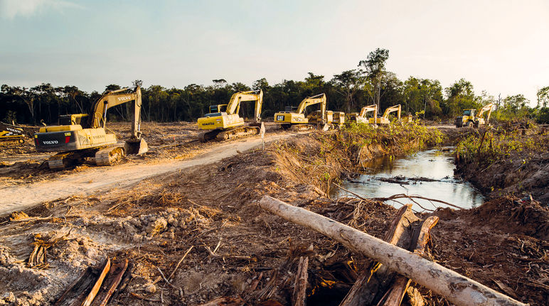 Des pelleteuses en file indienne pénètrent dans la forêt tropicale