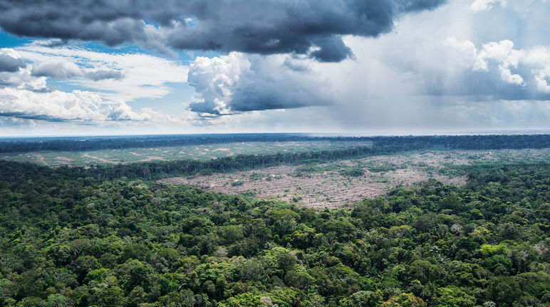 Photo aérienne des forêts vierges à proximité du village de Tamshiyacu au Pérou