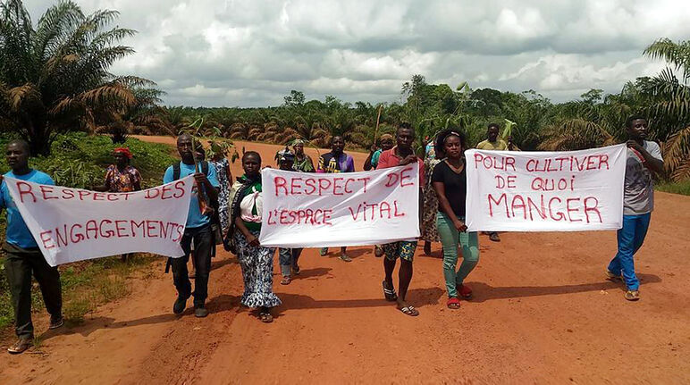 Manifestations contre l’entreprise d’huile de palme Socfin au Cameroun