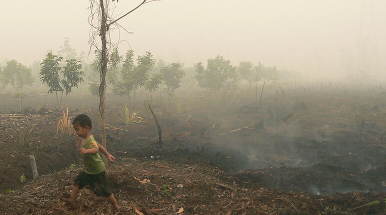 Un enfant marche un sol tourbeux encore fumant à Katingan à Bornéo (Indonésie)