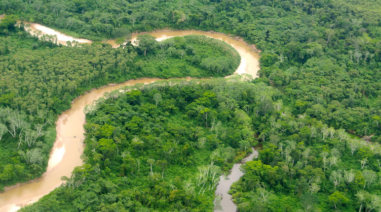 Vue aérienne d’un fleuve serpentant la forêt en Amazonie péruvienne