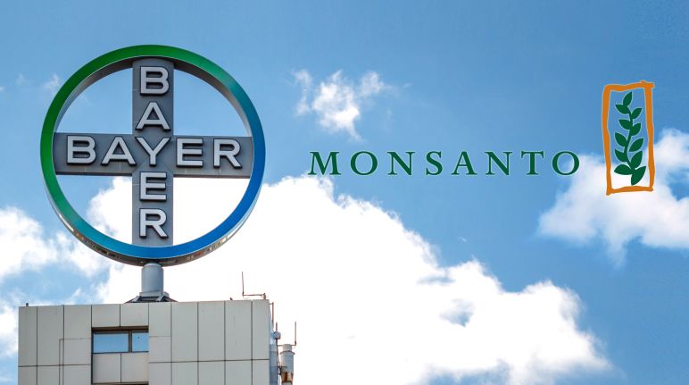 Le Roundup de Monsanto contient du glyphosate, une substante manifestement toxique pour l'être humain Bayer Monsanto