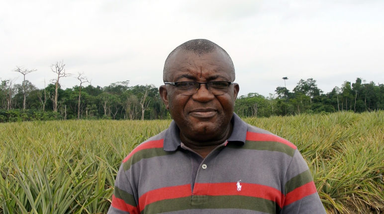 Le défenseur de la nature Odey Oyama devant une monoculture d’ananas