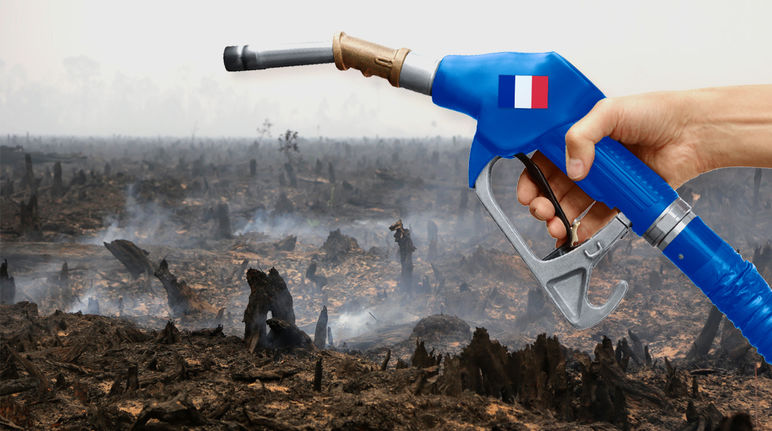 Photomontage : une pompe à essence aux couleurs de la France avant en arrière plan une forêt tropicale venant d'être incendiée pour la culture d'huile de palme