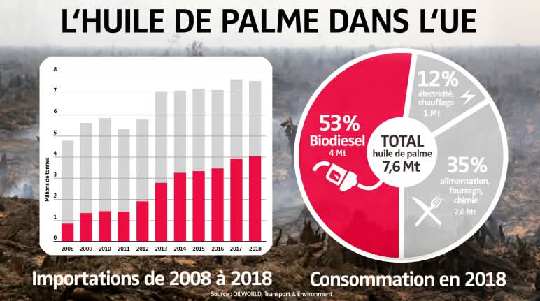 L'huile de palme dans l'UE - Importations de 2008 à 2018 / Consommation en 2018